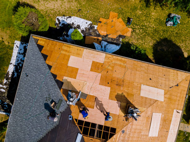 Best Roof Gutter Cleaning  in Eagle Lake, TX